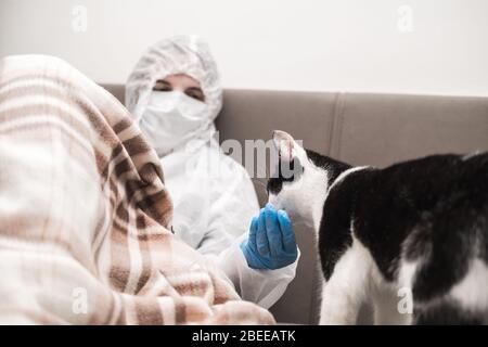 Mädchen im schützenden weißen, lichtdurchlässigen Anzug, blaue Gummihandschuhe, eine medizinische Maske sitzt zu Hause auf dem Sofa und spielt mit Tuxedo-Katze. Bleiben Sie während der Reise zu Hause Stockfoto