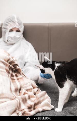 Mädchen im schützenden weißen, lichtdurchlässigen Anzug, blaue Gummihandschuhe, eine medizinische Maske sitzt zu Hause auf dem Sofa und spielt mit Tuxedo-Katze. Bleiben Sie während der Reise zu Hause Stockfoto