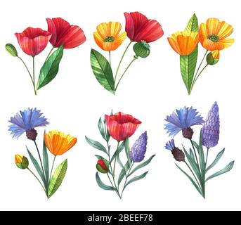 Set von handgezeichneten Aquarell Blumen. Illustrationen für Hochzeitseinladungen, Karten, Aufkleber, Drucke. Stockfoto