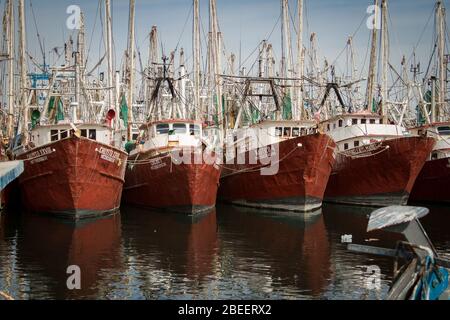 Vier orange gehulllte Fischerboote sitzen in Puerto Peñasco, Sonora, Mexiko angedockt und warten darauf, wieder nach draußen zu gehen und für den Tag zu arbeiten. Stockfoto