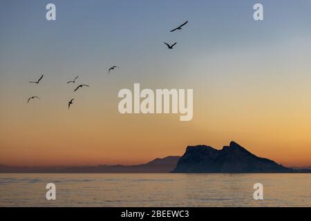 Vögel fliegen um Gibraltar, gesehen bei Sonnenuntergang vom Alcaidesa Strand in Spanien Stockfoto