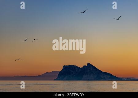 Vögel fliegen um Gibraltar, gesehen bei Sonnenuntergang vom Alcaidesa Strand in Spanien Stockfoto