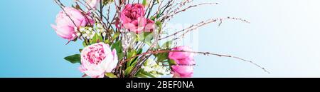 Pfingstrose Blumenstrauß auf blauem Hintergrund. Nahaufnahme. Festliches und feierliches Blumenbanner. Stockfoto