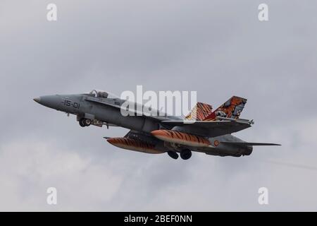 Spanische Luftwaffe McDonnell Douglas EF-18 Hornet bei NATO Tiger Treffen 2019 bei der französischen Luftwaffe Mont de Marsan BA118 Basis Stockfoto