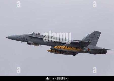 Spanische Luftwaffe McDonnell Douglas EF-18 Hornet bei NATO Tiger Treffen 2019 bei der französischen Luftwaffe Mont de Marsan BA118 Basis Stockfoto