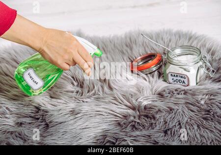 Mit Spray Weißessig Verdünnung mit Wasser und Backpulver Natriumbicarbonat in langen Haaren Pelzteppich für die Reinigung und Fleckenentfernung. Natürliches Zuhause Stockfoto