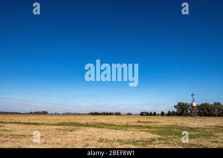 La Pampa Stretching out, Estancia Ombu, San Antonio de Areco, Argentinien Stockfoto