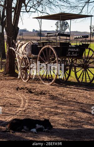 Pferdekutsche, Estancia Ombu, San Antonio de Areco, Argentinien Stockfoto