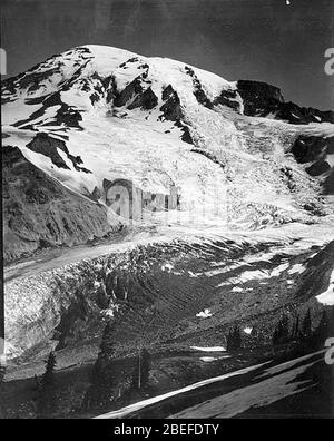 Kopf des Nisqually Glacier und Gipfel des Mount Rainier mit Gibraltar Rock 4. August 1895 (WAITE 60). Stockfoto