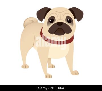 Nette kleine freundliche Mops Hund Cartoon Haustier Design flache Vektor-Illustration auf weißem Hintergrund isoliert Stock Vektor