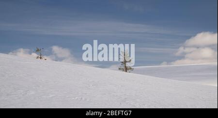 Szene in Pallastunturi im Pallas-Yllästunturi Nationalpark, Muonio, Finnland Stockfoto