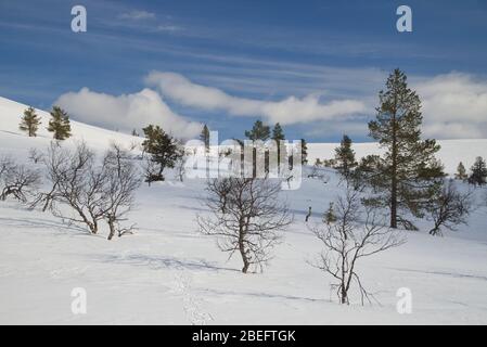 Szene in Pallastunturi im Pallas-Yllästunturi Nationalpark, Muonio, Finnland Stockfoto