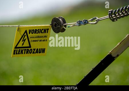 Elektrischer Zaun auf einer Rinderweide, Warnschild, Stromschlag, Stockfoto