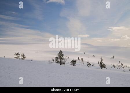 Szene in Pallastunturi im Pallas-Yllästunturi Nationalpark, Muonio, Finnland Stockfoto