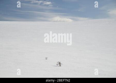 Szene in Pallastunturi im Pallas-Yllästunturi Nationalpark, Muonio, Finnland Stockfoto