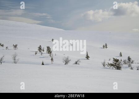 Szene in Pallastunturi im Pallas-Yllästunturi Nationalpark, Muonio, Finnland Stockfoto