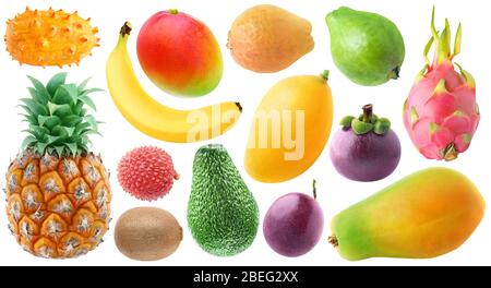 Isolierte tropische Früchte Sammlung. Frische Kiwano, Banane, rote und gelbe Mango, Mangostan, Ananas, Lichee, Kiwi, Avocado, Passionsfrucht, Librefruh Stockfoto