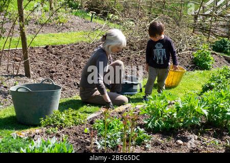 Großmutter Frau und Junge Kind Enkelkind Gartenarbeit im Frühling Sonnenschein in einem Landgarten in Carmarthenshire Wales UK April 2020 KATHY DEWITT Stockfoto