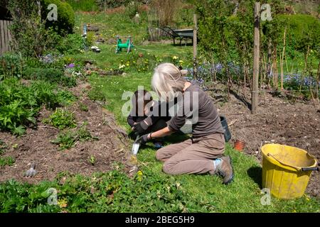 Frau zeigt jungen Gartenarbeit wie man eine Kelle in Frühlingssonne in einem Landgarten in Carmarthenshire Wales verwenden April 2020 KATHY DEWITT Stockfoto