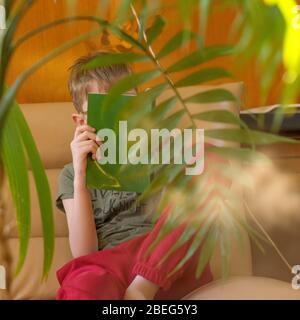 Tropische Palme auf gelbem Hintergrund - weicher Fokus Stockfoto
