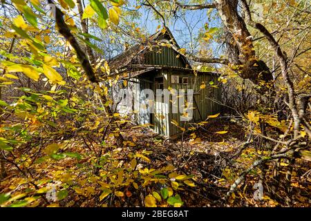 Das Foto vom 16. Oktober 2019 eines verlassenen Dorfes auf dem Territorium der Ukraine in der Nähe des Kernkraftwerks Tschernobyl, das am 27. April evakuiert wurde Stockfoto