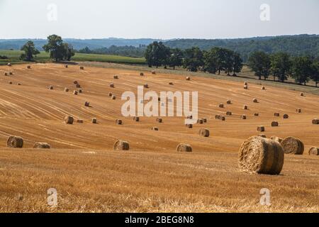 Strohballen auf einem Feld in der Nähe von Puychautu, Dordogne, Frankreich Stockfoto