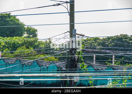 Typische Durcheinander von elektrischen und Kommunikationsleitungen auf Polen in Guatemala Stockfoto