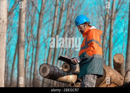 Forsttechniker Schreiben Protokollierung Prozess Notizen auf Zwischenablage Notizblock in Wald lehnt sich an Baumstämme zu schneiden Stockfoto