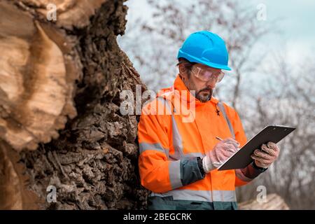 Forsttechniker, der während des Entwaldungsvorgangs Notizen auf Notizblock in der Zwischenablage in Wald schreibt Stockfoto