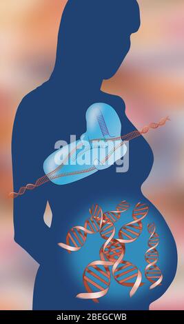 Fetale CRISPR-Genbearbeitung, Illustration Stockfoto