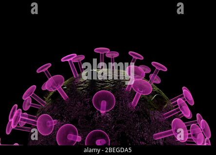SARS-CoV-2 Virion (Viruspartikel). SARS-CoV-2 ist ein Stamm des Coronavirus, eines einsträngigen RNA-Virus. Der Name Coronavirus leitet sich vom lateinischen Wort für "Krone" ab, was sich auf das Auftreten der vielen Eiweißspitzen bezieht, die sich um das Virion bilden, wenn sie unter Elektronenmikroskopie betrachtet werden. Stockfoto