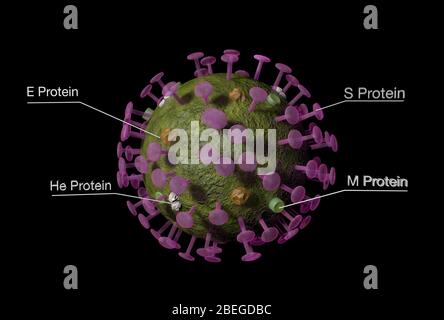 SARS-CoV-2 Virion, beschriftet Stockfoto