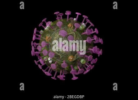 SARS-CoV-2 Virion (Viruspartikel), mit Proteinspitzen markiert. SARS-CoV-2 ist ein Stamm des Coronavirus, eines einsträngigen RNA-Virus. Der Name Coronavirus leitet sich vom lateinischen Wort für "Krone" ab, was sich auf das Auftreten der vielen clubförmigen Eiweißspitzen bezieht, die sich um das Virion bilden, wenn sie unter Elektronenmikroskopie betrachtet werden. Stockfoto