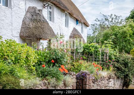 Ferienhaus am Stadtrand von Sampford Brett, Somerset, Großbritannien Stockfoto