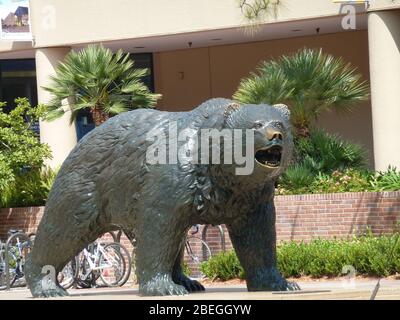 Sonnige Sicht auf die UCLA Bruin Statue in Los Angeles, Kalifornien Stockfoto