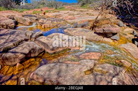 Ein Nebenfluss, der in Dry Beaver Creek südlich von Sedona AZ abfließt. Dieser Abschnitt wird Beaver Flats wegen der flachen Stücke von rotem sandston genannt Stockfoto