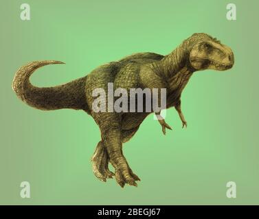 Tyrannosaurus Rex Stockfoto