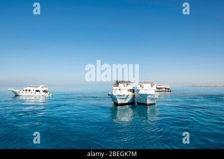 Bootfahren und Schnorcheln am Roten Meer, vor der Küste von Sharm el-Sheikh, Ägypten. Stockfoto