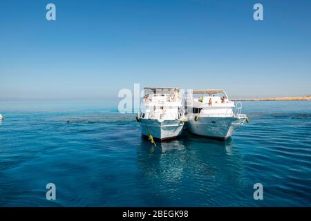 Bootfahren und Schnorcheln am Roten Meer, vor der Küste von Sharm el-Sheikh, Ägypten. Stockfoto