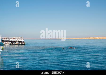 Bootfahren und Schnorcheln am Roten Meer, vor der Küste von Sharm el-Sheikh, Ägypten. Stockfoto