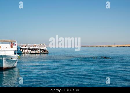 Bootfahren und Schnorcheln am Roten Meer, vor der Küste von Sharm el-Sheikh, Ägypten. Stockfoto