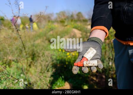 Menschen, die bei der Reinigung von Kunststoffmüll aus der Umwelt als verlassene Flaschen zusammenarbeiten. Stockfoto