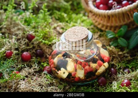 Flasche Tinktur oder Infusion aus Heilkräutern, gesunde Wurzeln und Beeren, Korb mit Cranberries auf Waldmoos im Freien. Kräutermedizin. Stockfoto