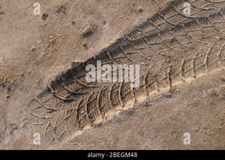 Der Reifenprofilabdruck auf dem Sand. Stockfoto