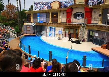 San Diego, 19. AUG 2009 - Sea Lions Live Show in SeaWorld Stockfoto