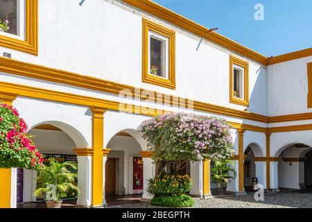 Blick auf die Architektur des Klosterabschnitts der Iglesia y Convento de la Compañía de Jesús, Antigua, Guatemala Stockfoto