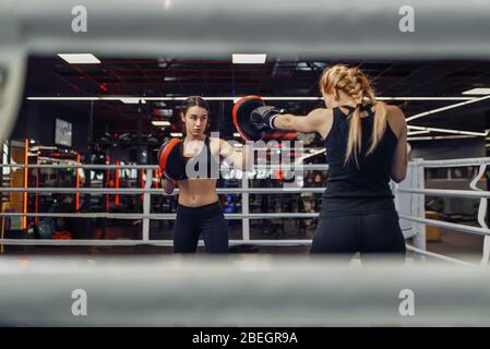 Zwei Frauen Boxen auf dem Ring, Box-Workout Stockfoto