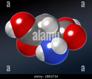 Asparaginsäure Stockfoto