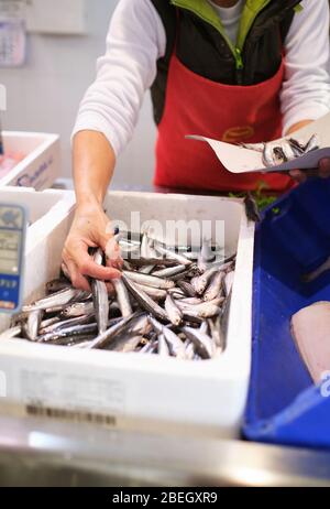 Junge Frau arbeitet in einem Fischgeschäft, bereitet blauen Fisch zu ihrem Cu zu verkaufen Stockfoto