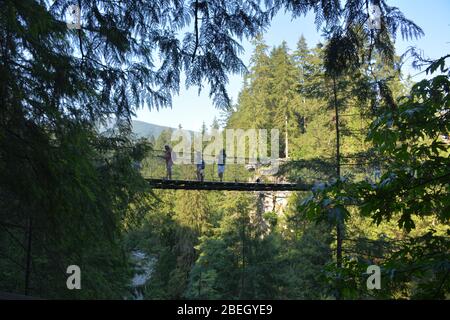 Der Capilano Suspension Bridge Park, Vancouver, Kanada Stockfoto